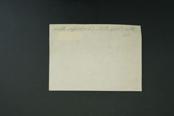Media type: image;   Malacology 178593 Description: Digital documentation photo of dry specimen.;
